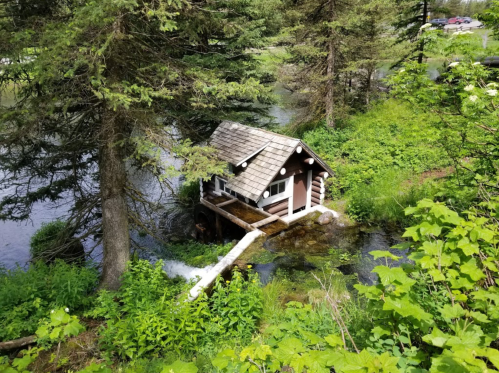 A small log cabin on a stream, surrounded by lush greenery and trees, with a wooden pipe extending from it.