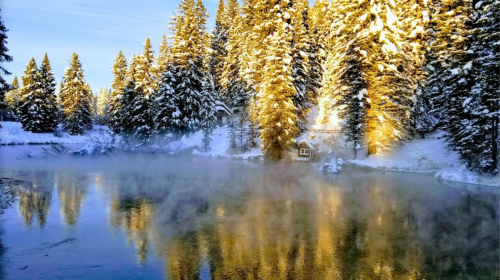 A serene winter scene with snow-covered trees reflecting in a misty river at sunrise.