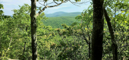 Lush green trees frame a scenic view of rolling hills and mountains under a clear sky.