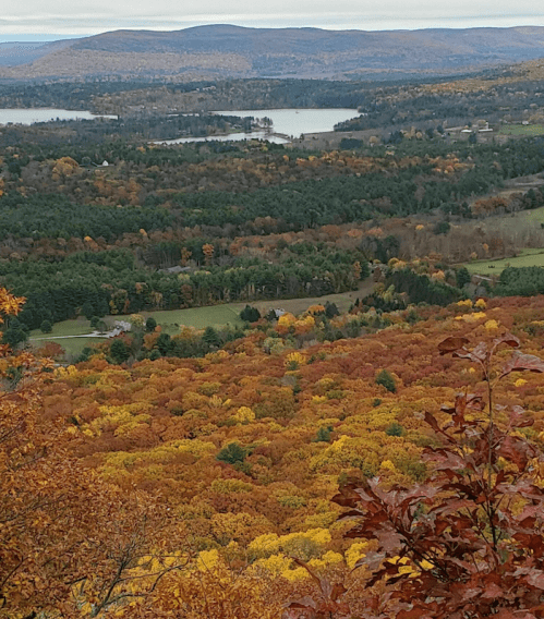 A scenic view of rolling hills and a lake, surrounded by vibrant autumn foliage in shades of orange and yellow.