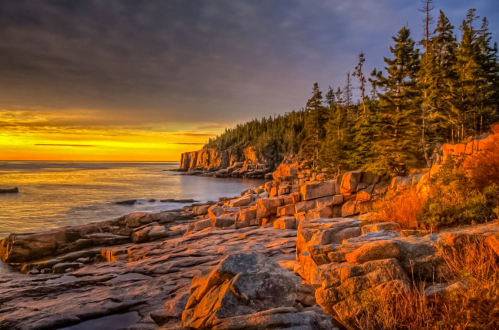 Sunset over rocky coastline with trees, casting warm orange hues on the water and cliffs.