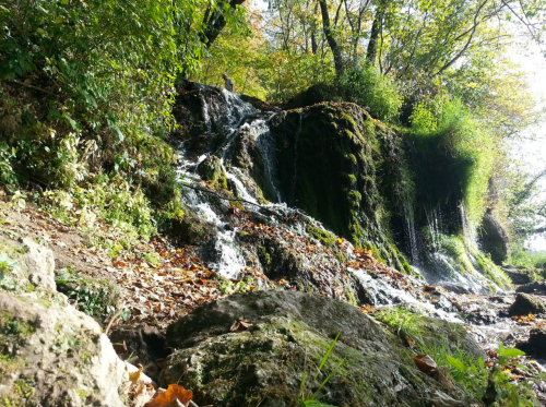 A serene waterfall cascading over mossy rocks, surrounded by lush greenery and autumn leaves.