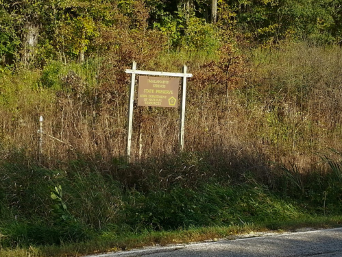 Sign for Malalauny Springs State Preserve, surrounded by greenery and tall grass along a roadside.