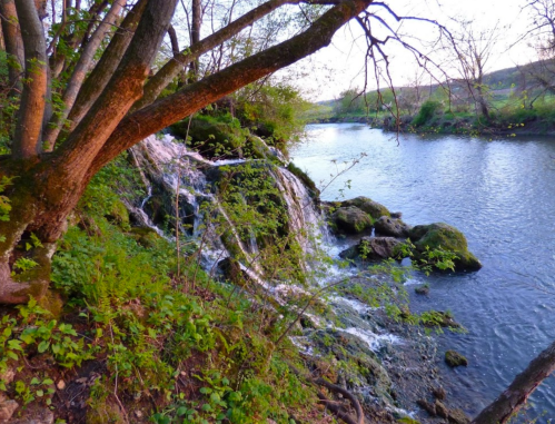 A serene river scene with a small waterfall, surrounded by lush greenery and trees along the bank.