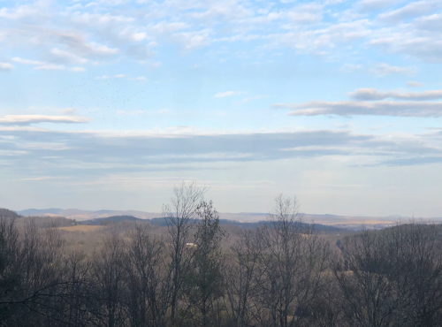 A serene landscape featuring rolling hills, bare trees, and a blue sky with scattered clouds.