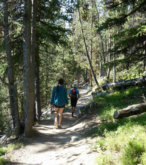 Two hikers walking along a forest trail surrounded by tall trees and greenery on a sunny day.