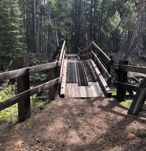 A wooden bridge with metal grating spans a forested path, surrounded by trees and greenery.