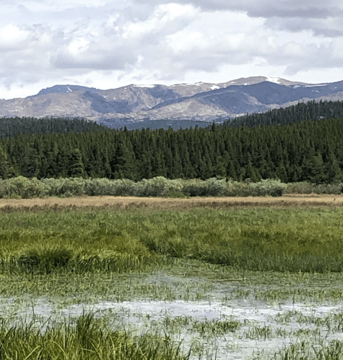 A scenic view of a wetland with lush greenery and mountains in the background under a partly cloudy sky.