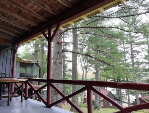 View from a porch overlooking tall trees and rustic cabins in a serene, wooded setting.