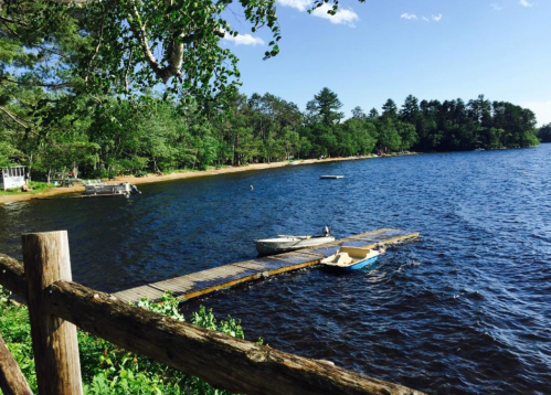 A serene lake scene with a wooden dock, boats, and lush greenery under a clear blue sky.