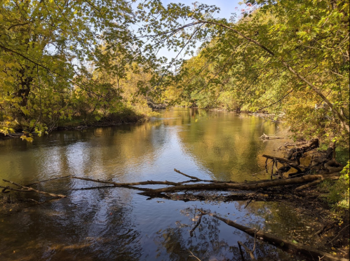 A serene river flows through a forest with autumn foliage, reflecting the colorful trees on its surface.