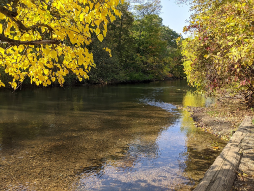 A serene river scene with clear water, surrounded by trees with vibrant autumn leaves.
