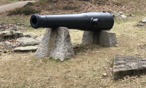 A black cannon resting on two stone supports in a grassy area, surrounded by rocks and fallen leaves.