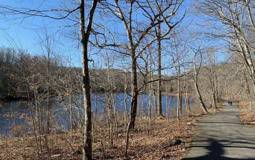 A serene path lined with bare trees beside a calm lake under a clear blue sky.