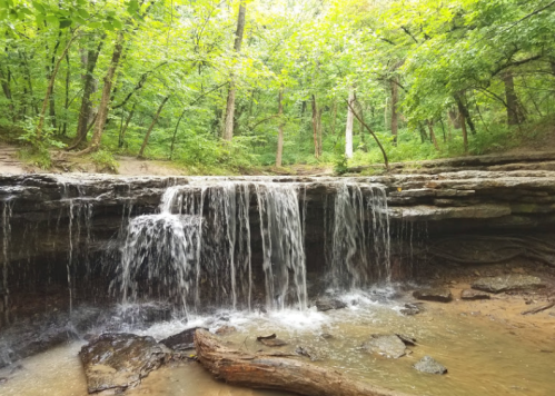 A serene waterfall cascades over rocks in a lush green forest, surrounded by trees and a calm stream.