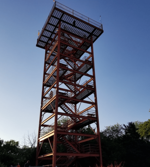 A tall metal observation tower with a staircase, set against a clear blue sky and surrounded by trees.