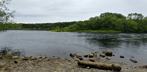 A calm river flows past a rocky shore, surrounded by lush green trees under a cloudy sky.