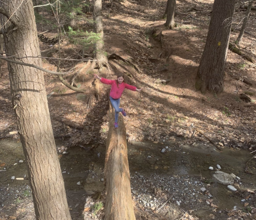 A girl balances on a fallen log over a creek in a wooded area, surrounded by trees and fallen leaves.
