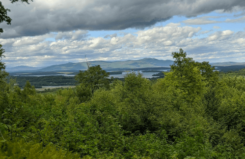 A scenic view of lush green trees and rolling hills under a cloudy sky, with a lake in the distance.