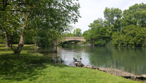 A serene park scene featuring a bridge over a calm river, surrounded by lush greenery and trees. Ducks are visible in the water.