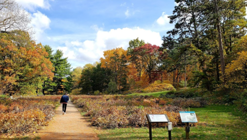 A person walks along a path in a colorful autumn landscape with trees and shrubs. Signs are visible along the trail.