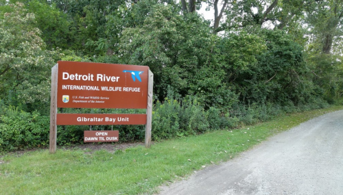 Sign for the Detroit River International Wildlife Refuge, Gibraltar Bay Unit, with a wooded area in the background.