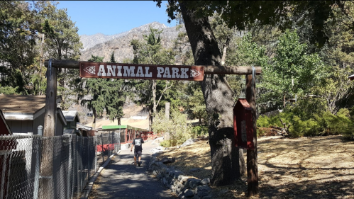 A person walks towards a wooden sign that reads "Animal Park," surrounded by trees and mountains.