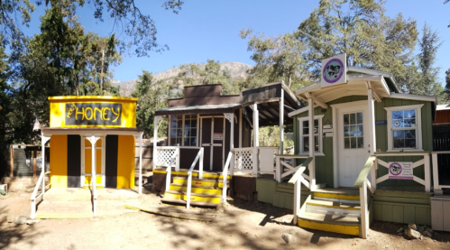 Three colorful small buildings in a wooded area, featuring signs for "Honey" and other businesses, with a mountain backdrop.