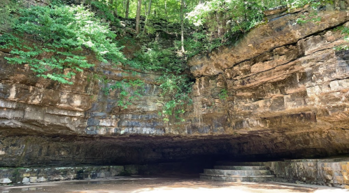 A rocky cave entrance surrounded by lush greenery and stone steps leading inside.