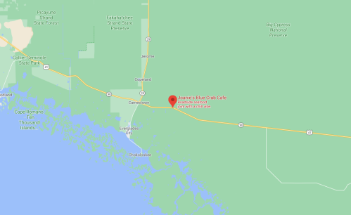 Map showing the location of Joanie's Blue Crab Cafe near Camertown, Florida, surrounded by green areas and highways.
