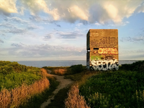 A graffiti-covered concrete structure stands by a path leading to the water, surrounded by tall grass and clouds.
