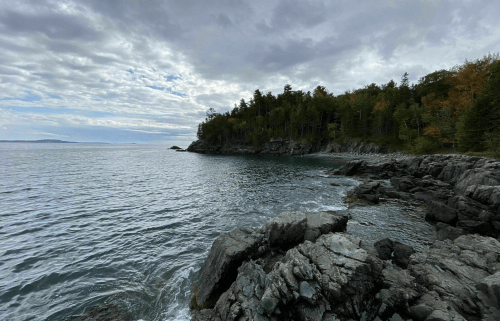 A rocky shoreline with calm waters, surrounded by trees and a cloudy sky.