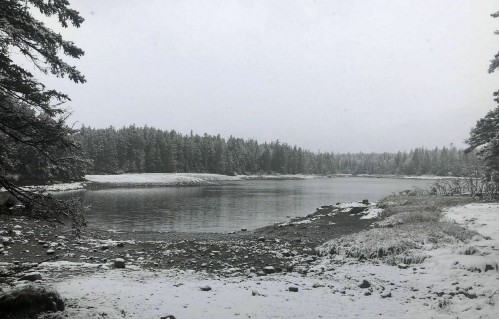 A serene winter landscape featuring a snowy riverbank surrounded by trees and a calm, reflective water surface.
