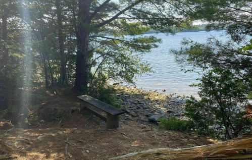 A serene lakeside scene with a wooden bench surrounded by trees and sunlight filtering through the leaves.