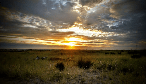 A vibrant sunset over a grassy field, with clouds illuminated in warm hues against a serene sky.
