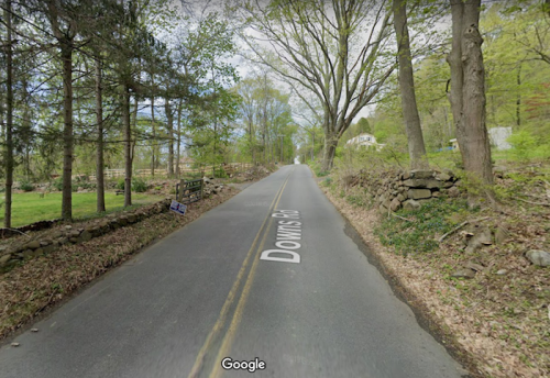 A quiet, tree-lined road named Downs Road, with stone walls and greenery on either side.