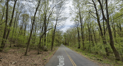 A quiet, tree-lined road surrounded by lush green foliage under a cloudy sky.