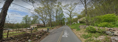 A quiet, tree-lined road with houses and a mailbox, surrounded by greenery and a clear sky.
