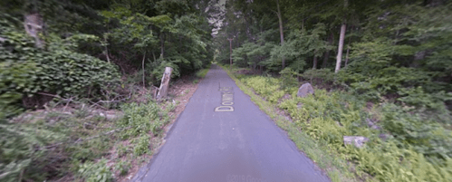 A narrow, tree-lined road surrounded by greenery and rocks, leading into a forested area.