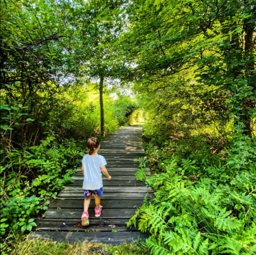 A child walks along a wooden path surrounded by lush greenery and trees on a sunny day.