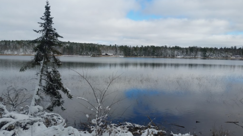 A serene winter landscape featuring a snowy lake surrounded by evergreen trees under a cloudy sky.