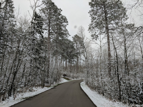 A winding road through a snowy forest, with tall trees lining the path and a gray sky overhead.