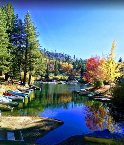 A serene lake surrounded by trees, with colorful autumn foliage and boats lined up along the shore.