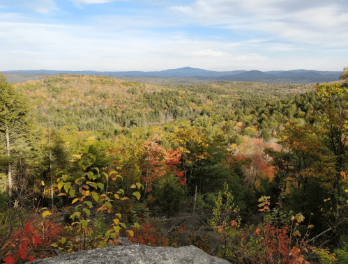 A scenic view of a colorful forested landscape with rolling hills under a blue sky, showcasing autumn foliage.