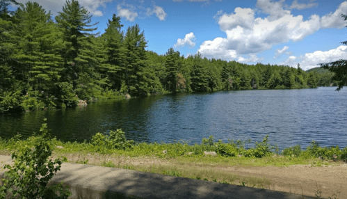 A serene lake surrounded by lush green trees under a partly cloudy sky. A peaceful natural landscape.