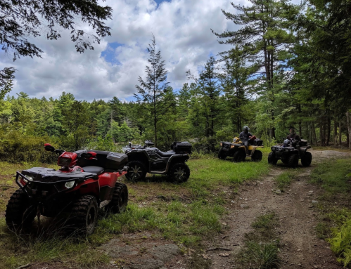 Three ATVs parked on a forest trail surrounded by trees and greenery under a partly cloudy sky.