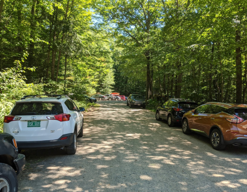 A gravel road lined with parked cars, surrounded by lush green trees and sunlight filtering through the leaves.