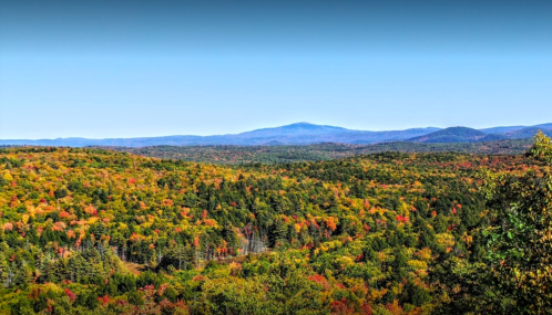 A panoramic view of a vibrant forest in autumn, showcasing colorful foliage and distant mountains under a clear blue sky.