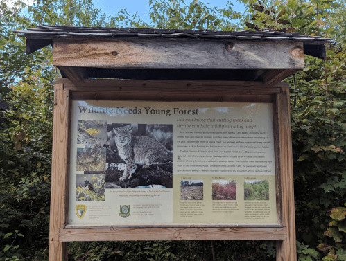 Sign about wildlife conservation, highlighting the importance of young forests and their role in supporting wildlife.