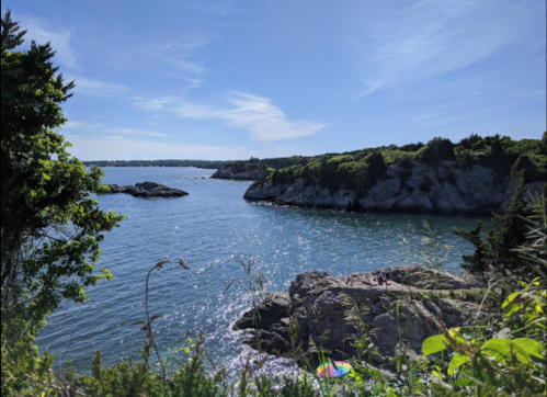 A serene coastal view with rocky shores, lush greenery, and a clear blue sky reflecting on the water.
